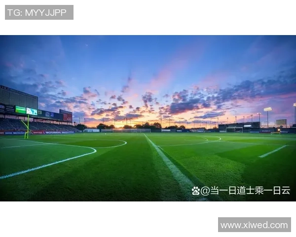 重庆散客足球热潮兴起球迷共享激情与友谊的绿茵场